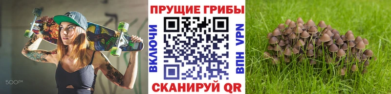 Галлюциногенные грибы прущие грибы  кракен ССЫЛКА  Белоярский 